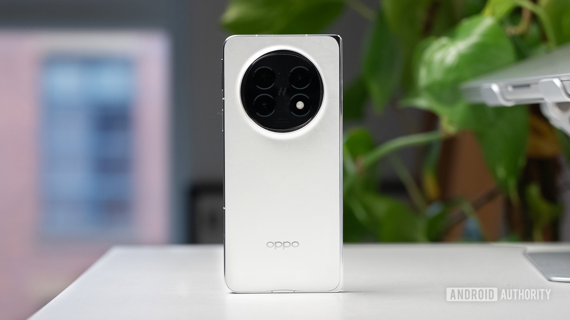 最新ブランドが展開計画を共有する中、Android 16 の普及は続く