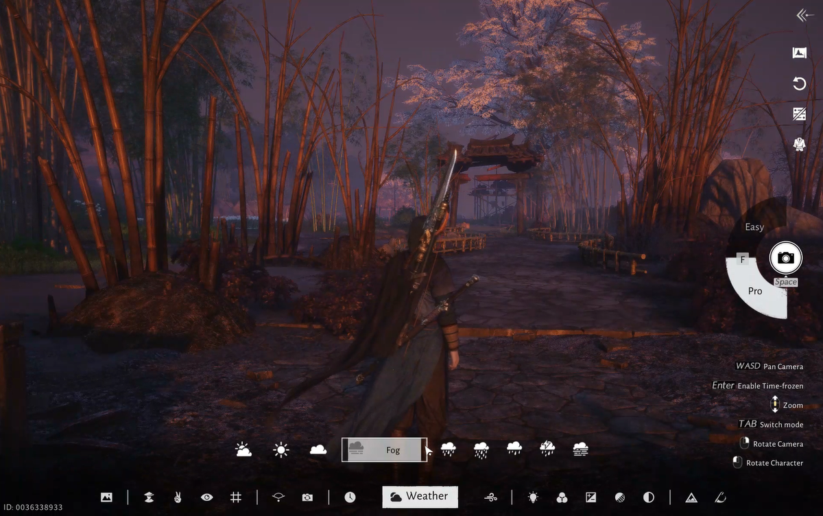 風が出会う場所でのフォトモードのヒントとコツ