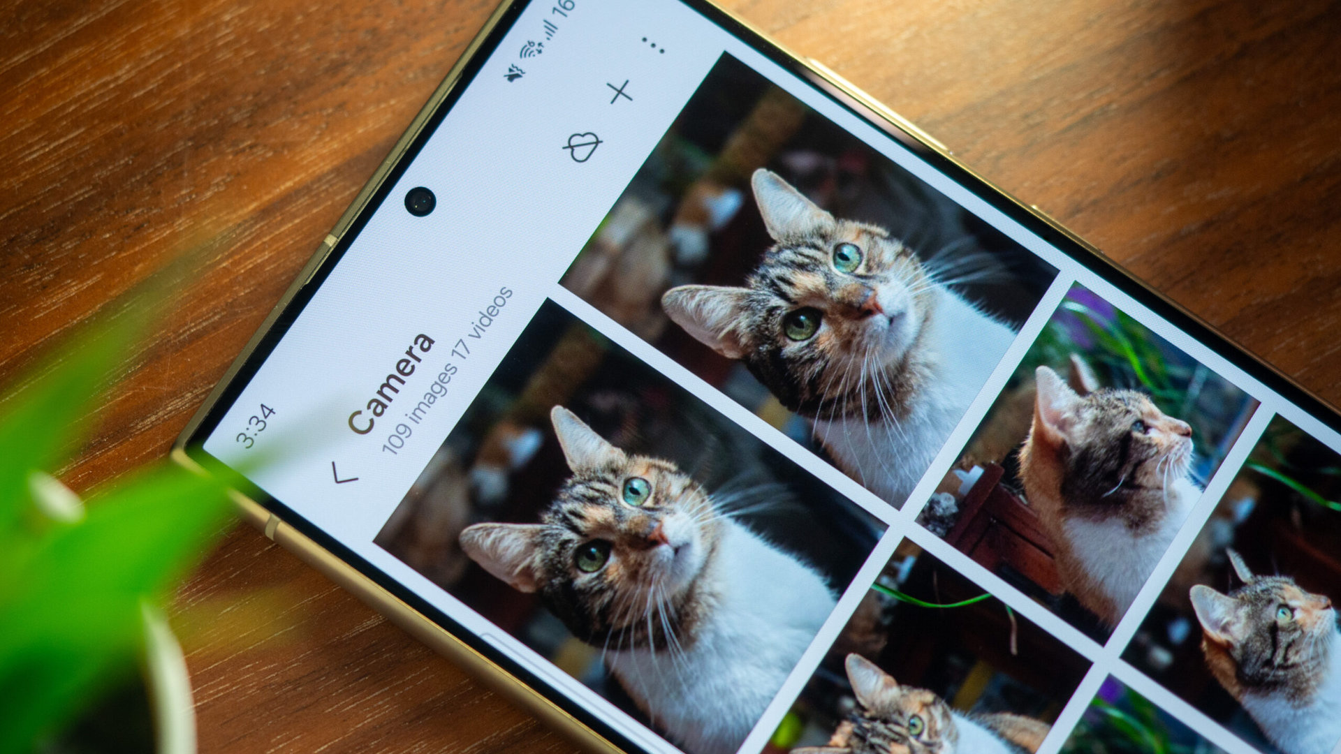 ある UI 8.5 の写真エディターで、ある写真から別の写真にオブジェクトをブレンドできるようになる可能性があります